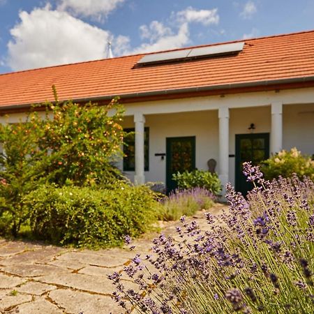 Hotel Barta Pince Vendeghaz Mád Zewnętrze zdjęcie