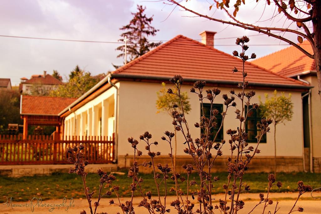 Hotel Barta Pince Vendeghaz Mád Zewnętrze zdjęcie