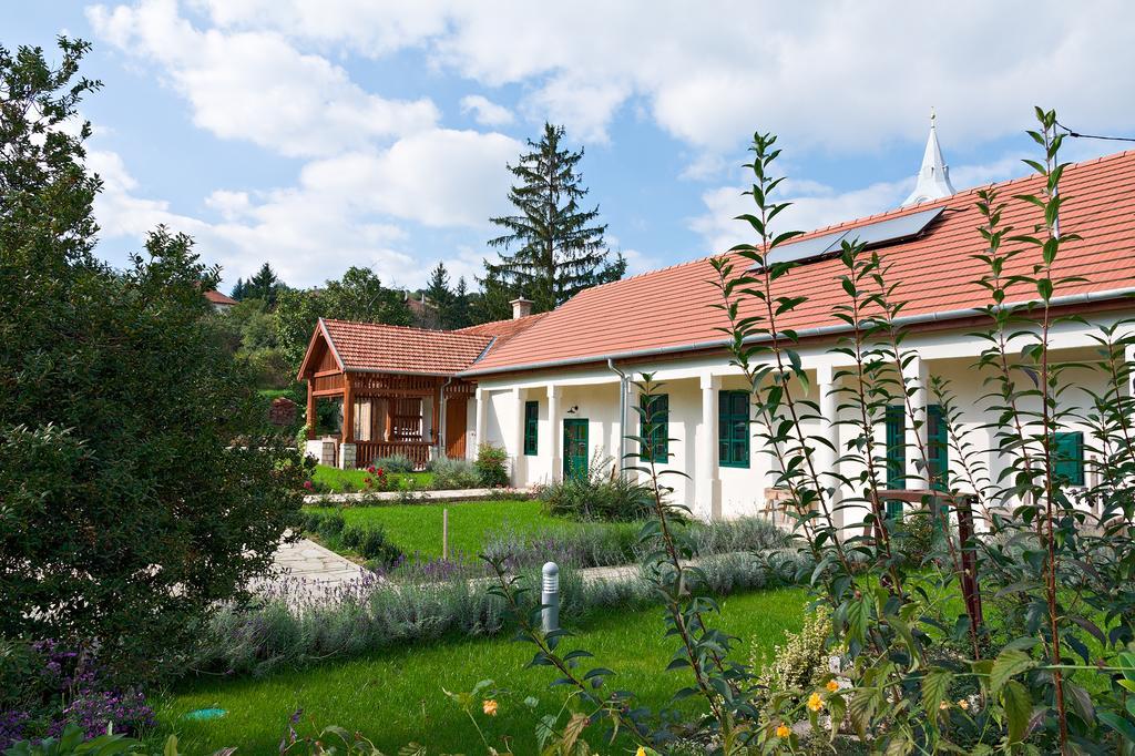 Hotel Barta Pince Vendeghaz Mád Zewnętrze zdjęcie